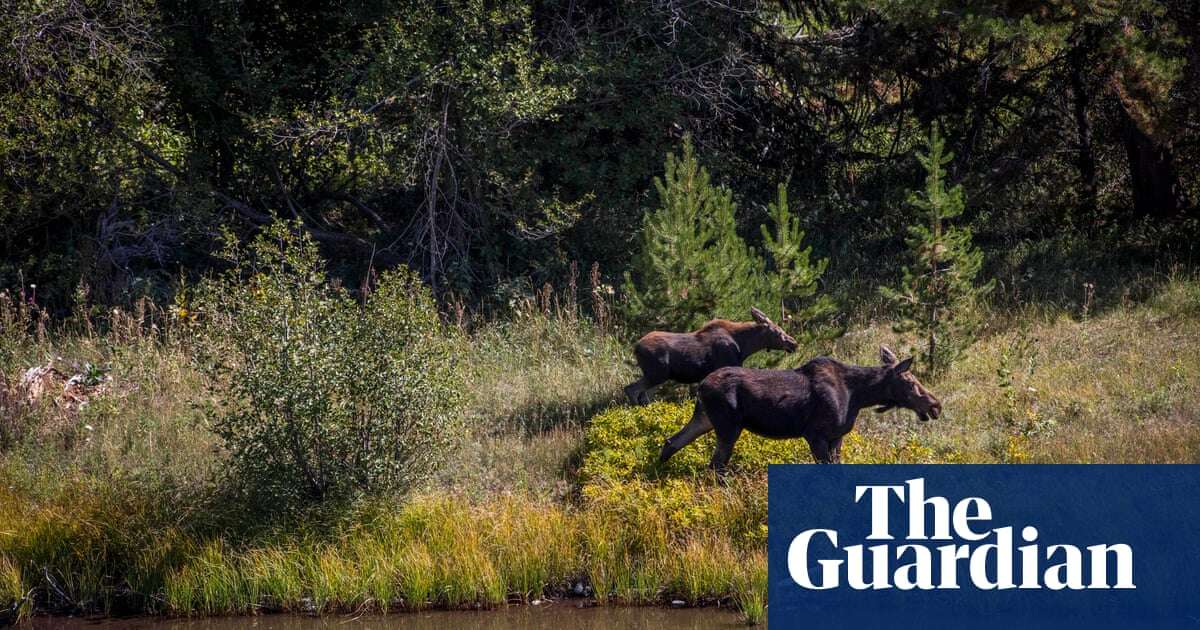 Federal layoffs hit the deep-red, rural US west: ‘Our public lands are under threat’