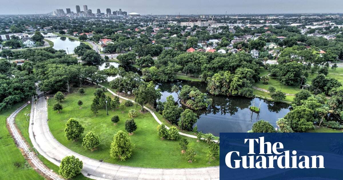 Cells of people living in greener areas age more slowly, research finds