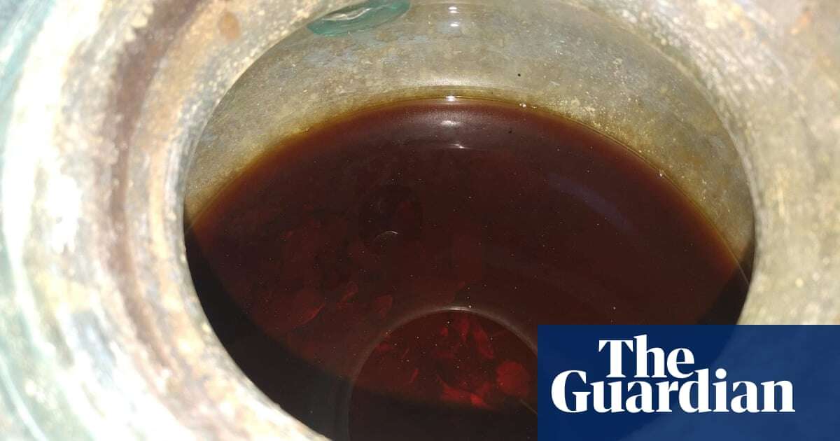 Oldest wine ever discovered in liquid form found in urn with Roman remains