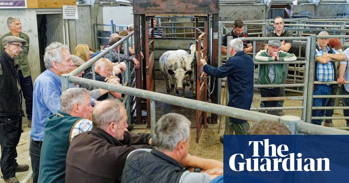 Farmers in England and Wales feel betrayed by inheritance tax changes, says NFU