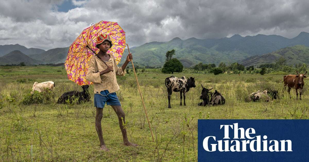 ‘I fear when we stop, no one will replace us’: Madagascar’s forest guardians – in pictures