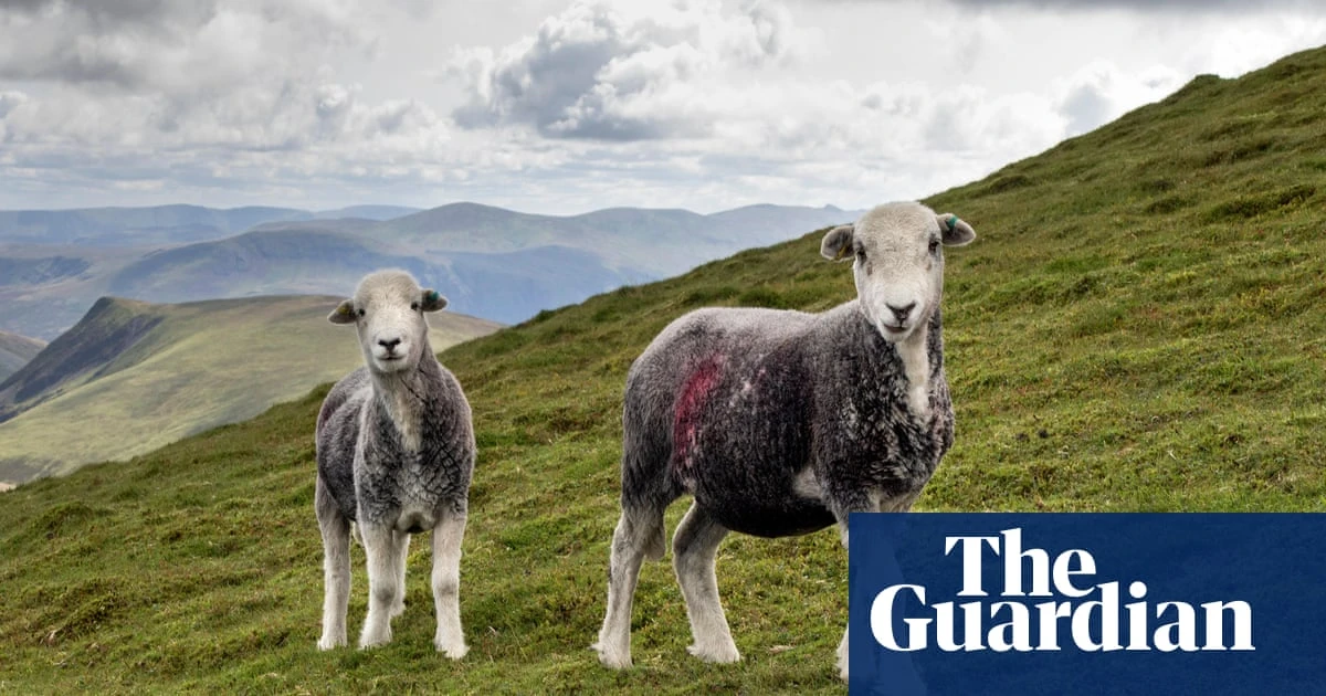 Farms in England could be taken out of food production to boost nature, says Labour