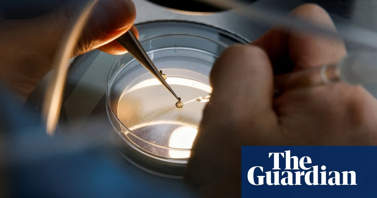 Why British women are freezing their eggs abroad – podcast