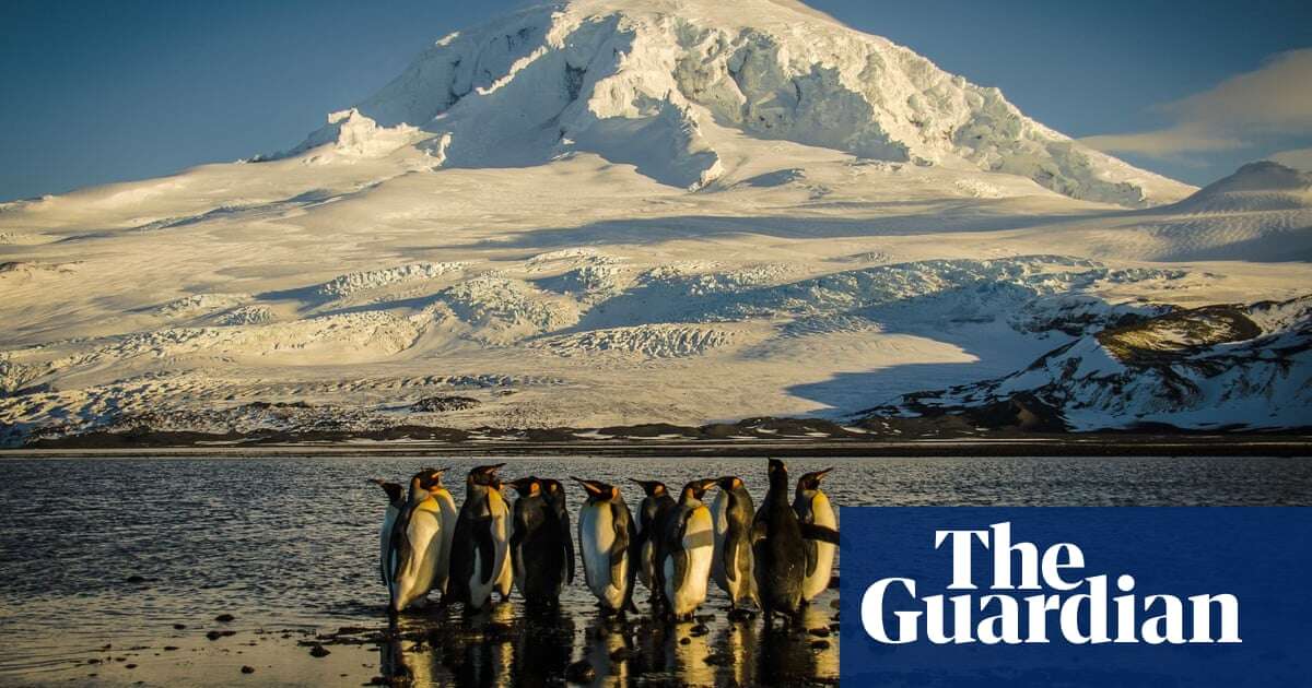 ‘Huge environmental win’: Australia to protect 52% of its oceans, more than any other country, Plibersek says