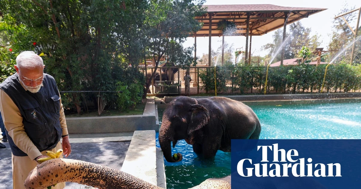 India’s supreme court orders inquiry into giant zoo run by son of Asia’s richest person