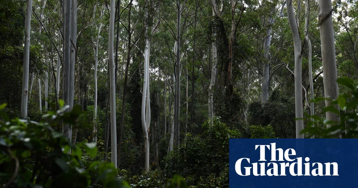 Australia’s major food companies failing nature, report finbds