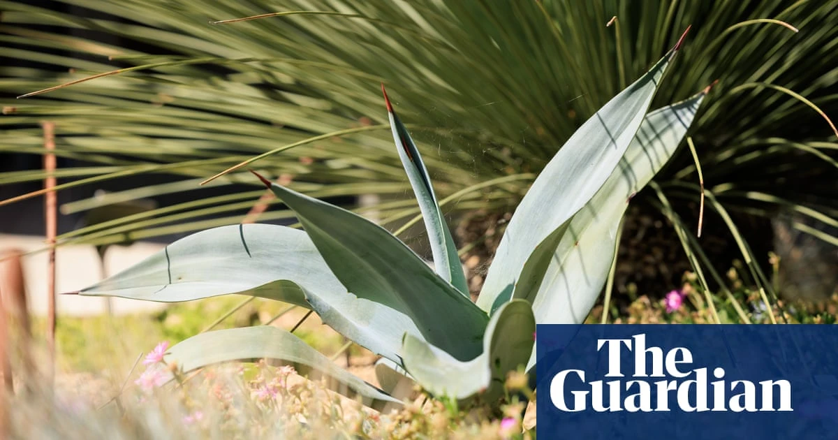 RHS asks for gardeners’ successes and failures to plan for changing climate