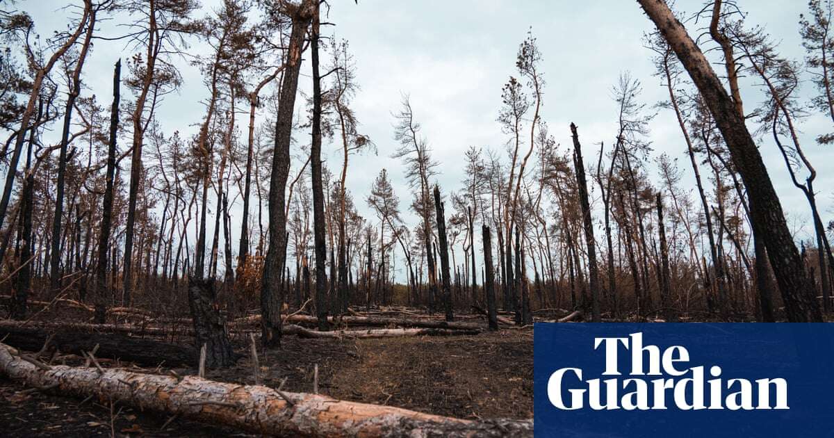 Forest fires push up greenhouse gas emissions from war in Ukraine