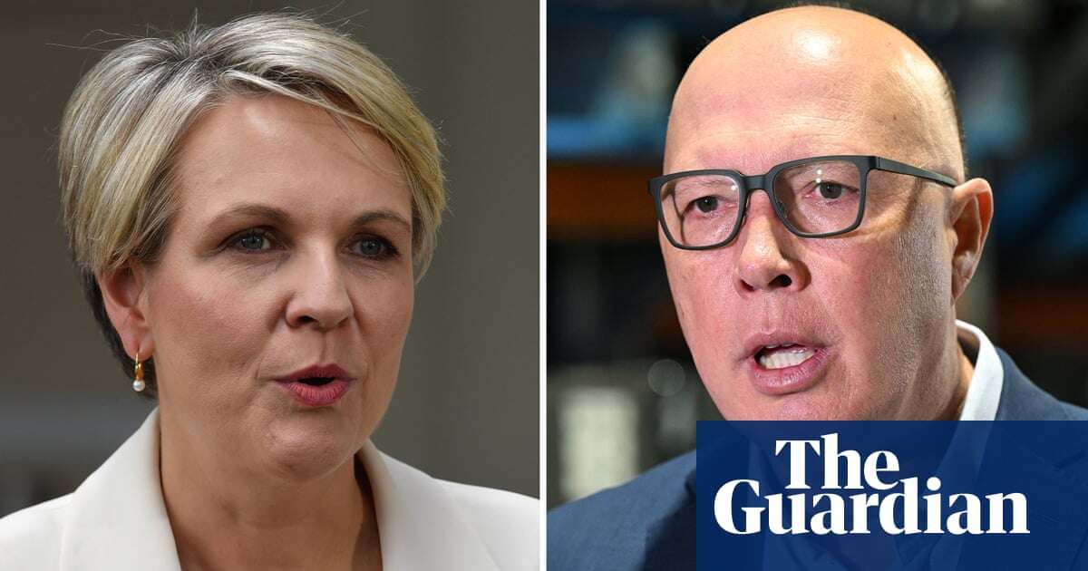 Tanya Plibersek accuses Peter Dutton of intent to ignore Indigenous heritage for mining projects