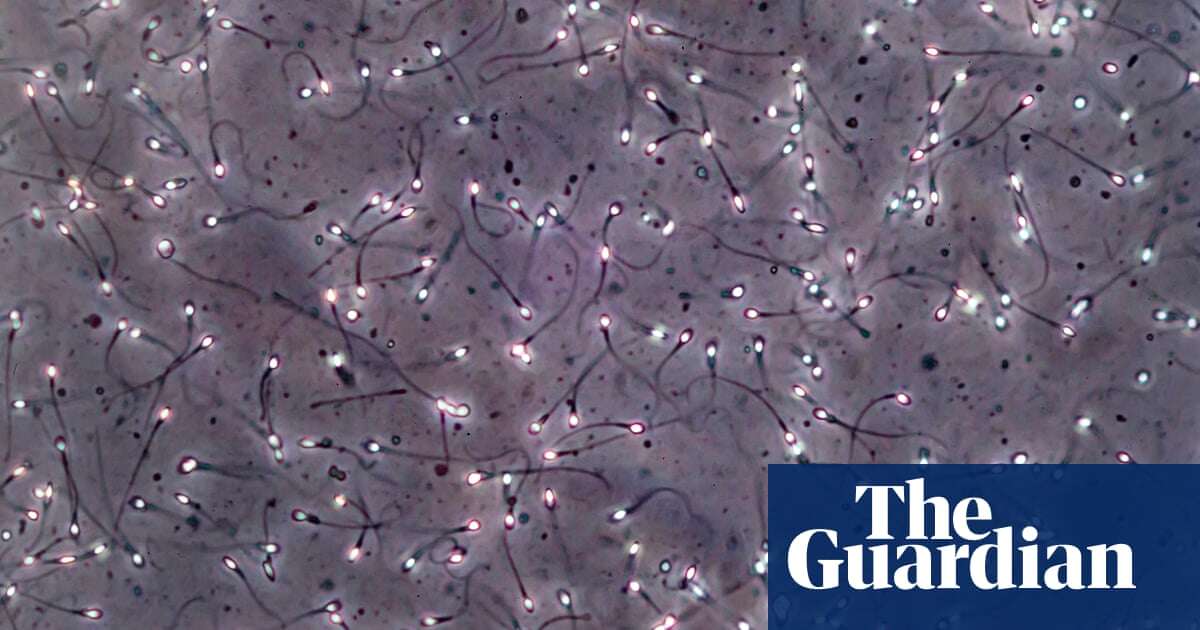 Biology Urgent calls for Australia-wide register of sperm donations amid concerns about ‘prolific’ donors