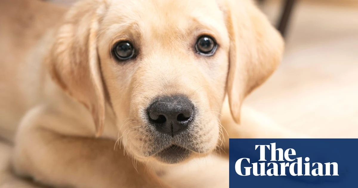 Racing cheeses, spicy birthdays and a fun celebrity gatecrash – take the Thursday quiz