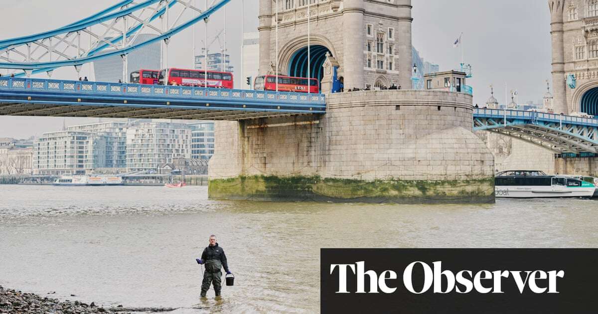 ‘I see cocaine in wild shrimp in Suffolk’: meet the scientist who analyses our wastewater