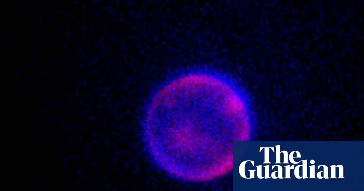 ‘Beautiful blobs’: can scientists build life from scratch? – podcast
