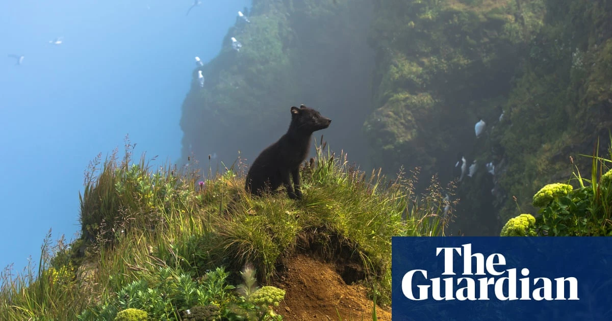 Winning images of the 2024 BigPicture natural world photography competition