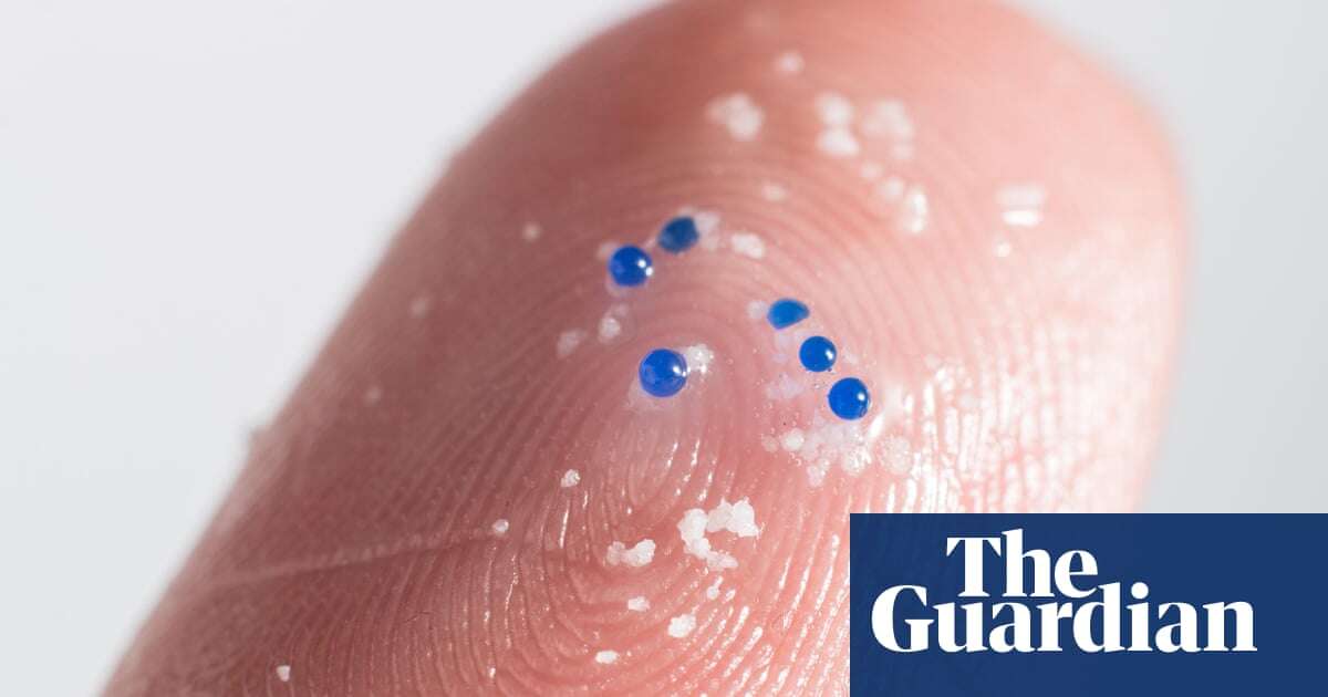 India should consider ban on microbeads in personal care products, researchers say