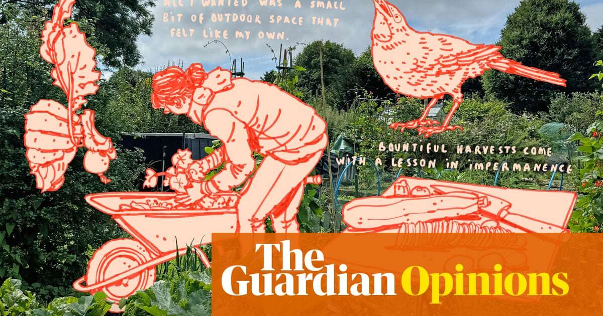 Getting an allotment totally changed my summer – and radically altered my relationship with food | Diyora Shadijanova