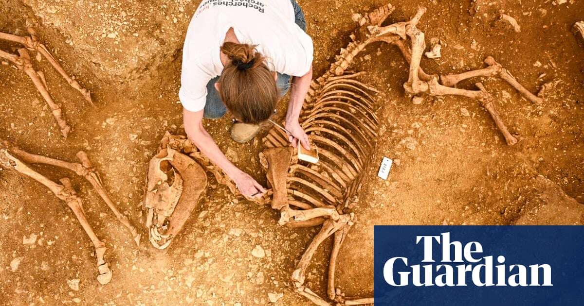 Remains of horses buried 2,000 years ago found in central France