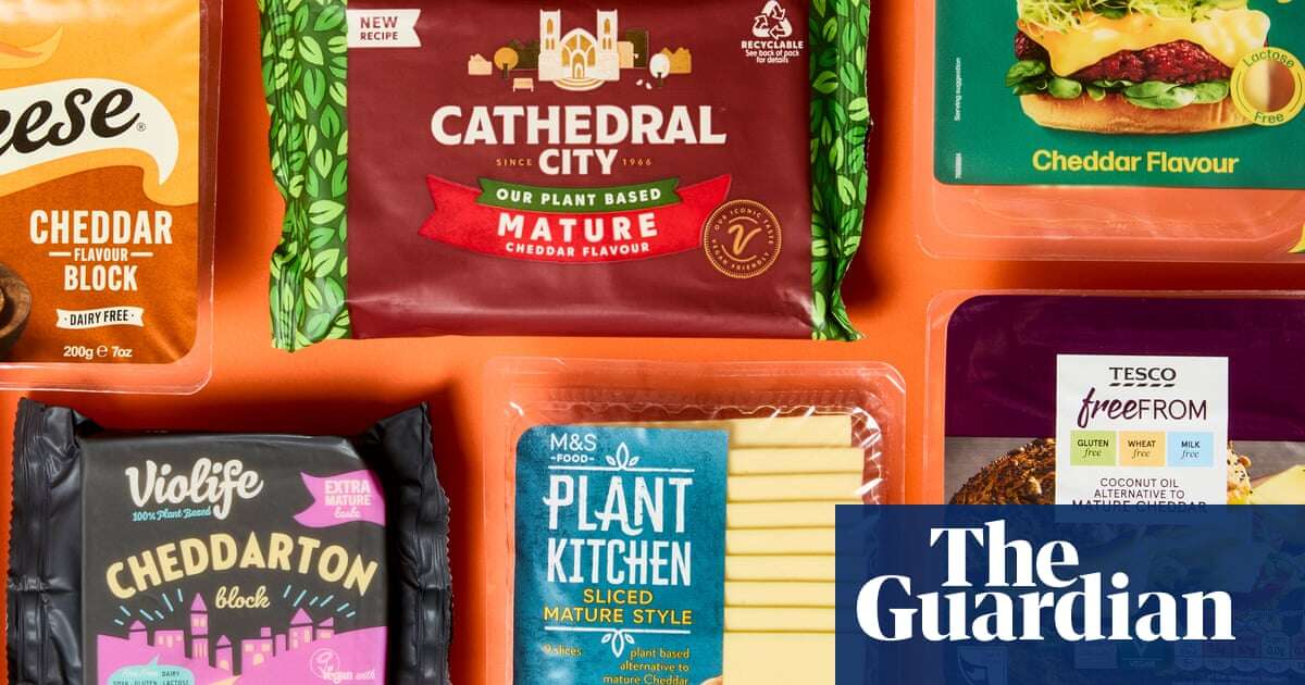 ‘I didn’t hate it, but I didn’t feel particularly well afterwards’: the best (and worst) vegan cheese, tested