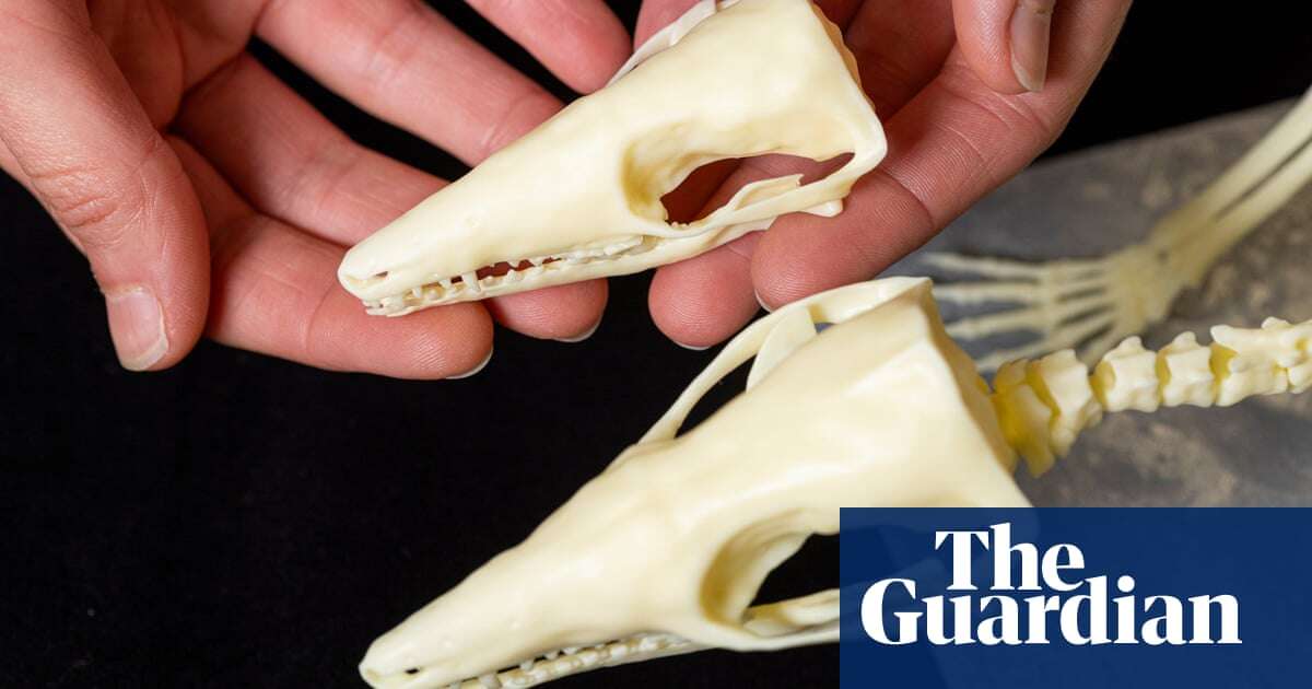 Early mammal could help answer one of biology’s biggest question, say experts