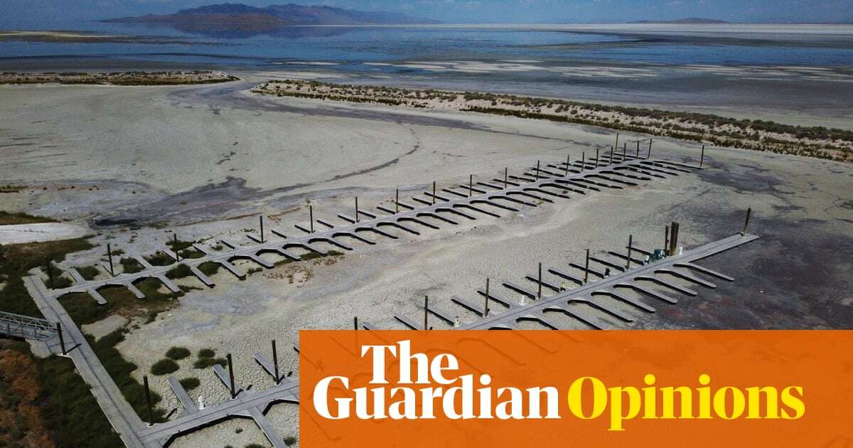 Resisting fascism includes respecting our environment and fellow species | Terry Tempest Williams