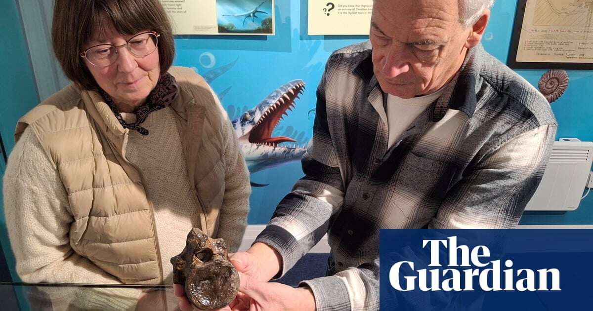 ‘Truly unique find’: part of Swindon Stegosaur returns to Wiltshire town