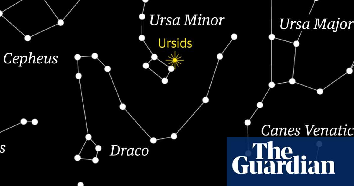 Starwatch: Ursids meteor shower to appear in largely dark sky