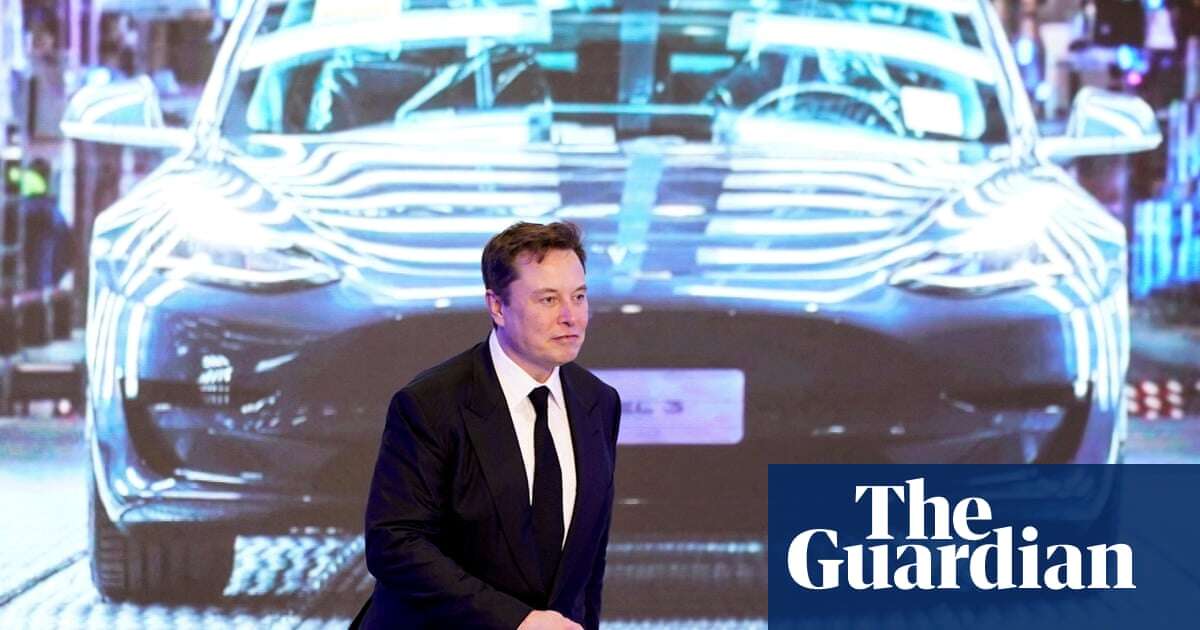 ‘I felt nothing but disgust’: Tesla owners vent their anger at Elon Musk