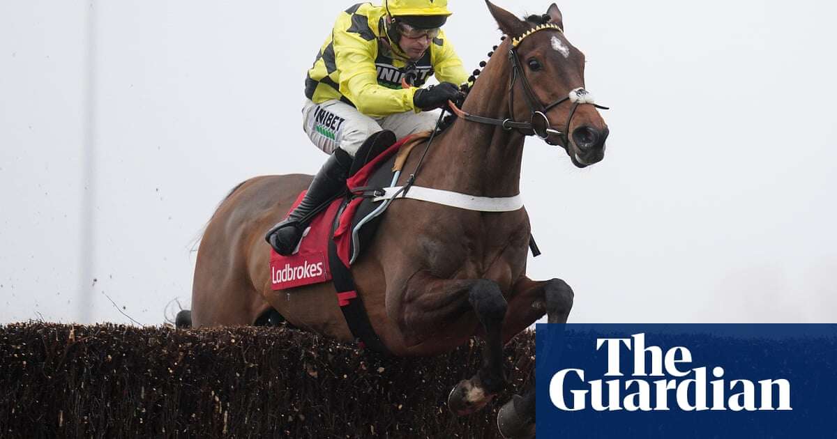 Sir Gino’s scintillating debut puts chaser bang on track for Cheltenham festival