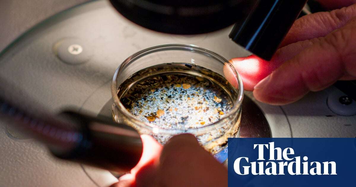 PFAS and microplastics become more toxic when combined, research shows