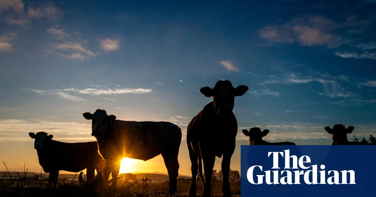 Farmers launch fresh campaign for NSW to cut daylight saving