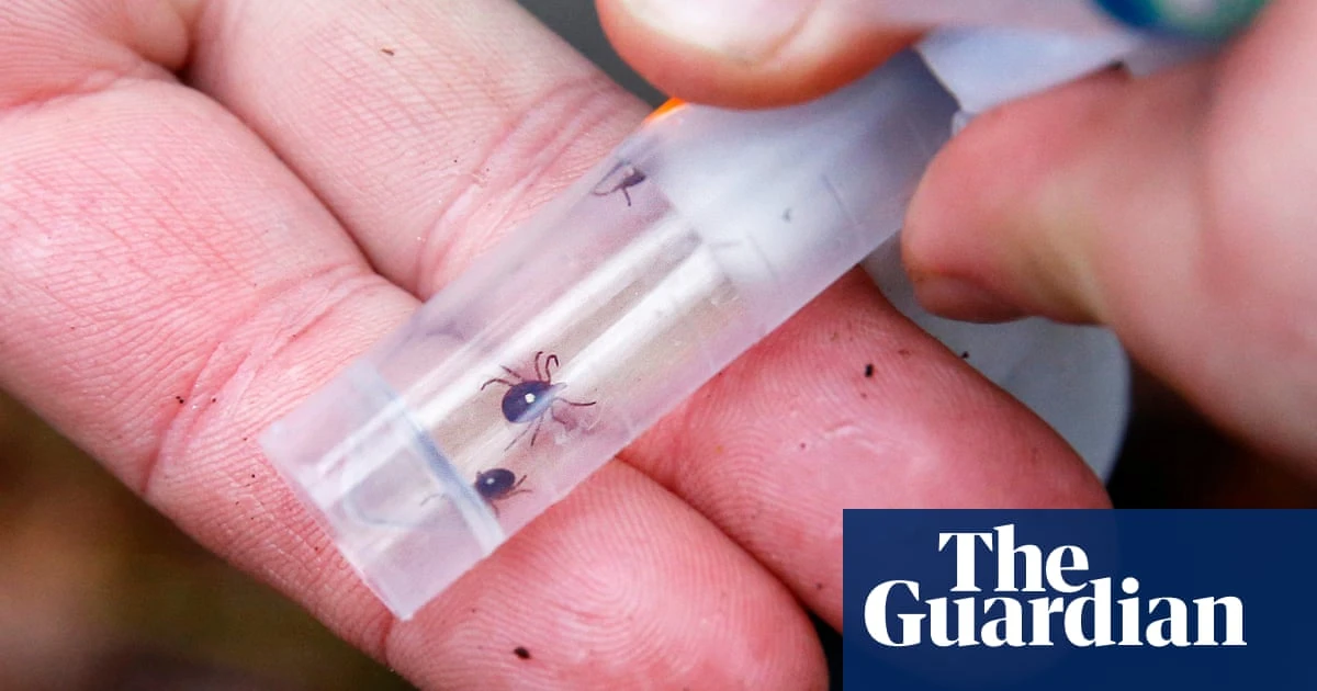 ‘Explosive increase’ of ticks that cause meat allergy in US due to climate crisis