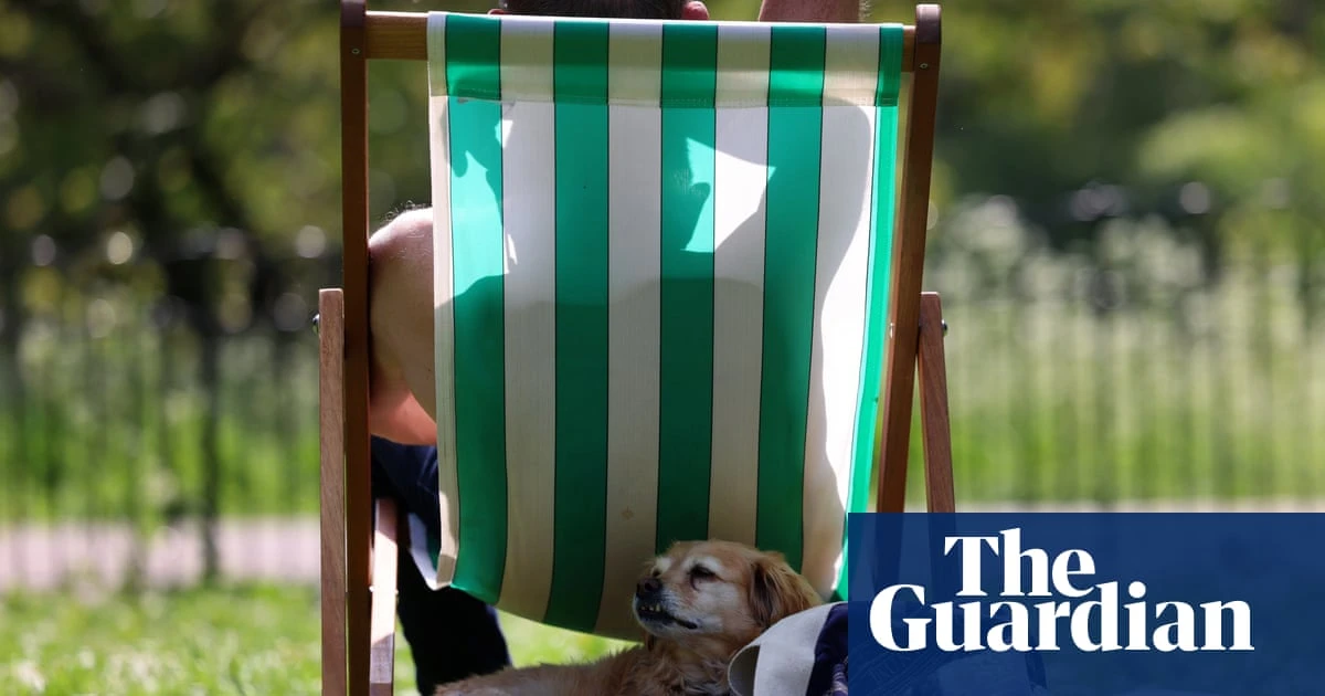 Panting, gular fluttering and sploots: how Britain’s animals try to keep cool