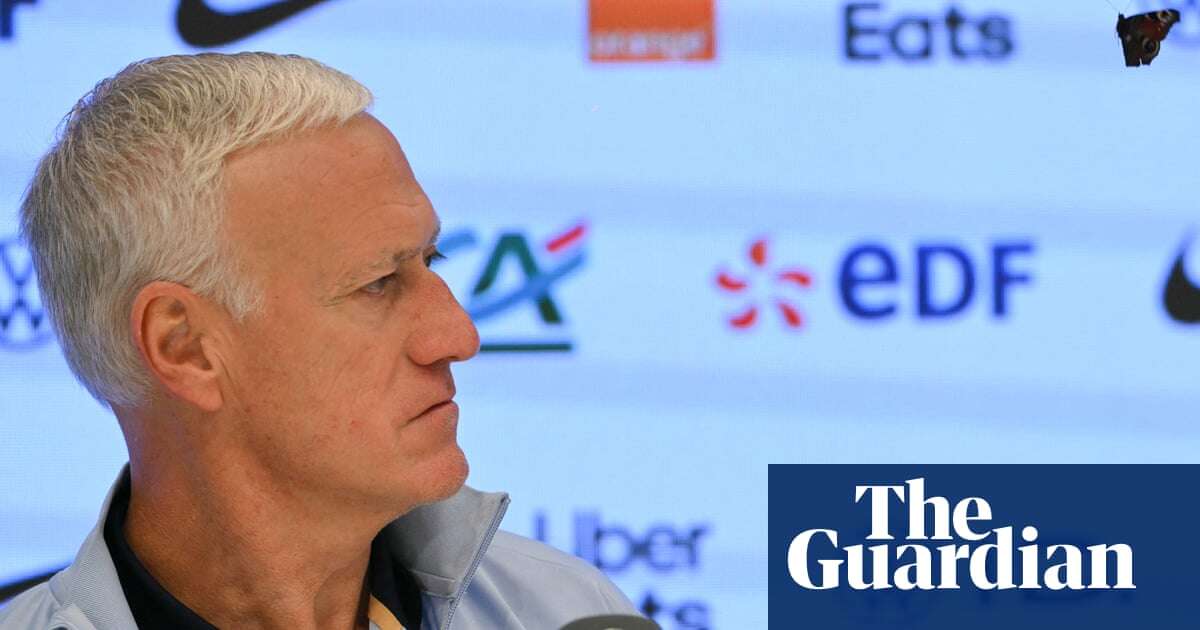 Butterfly interrupts Didier Deschamps' press conference – video