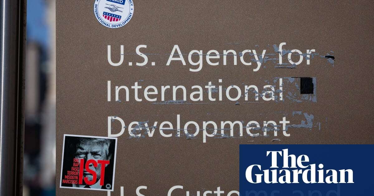 Musk and Doge’s USAid shutdown likely violated US constitution, judge rules