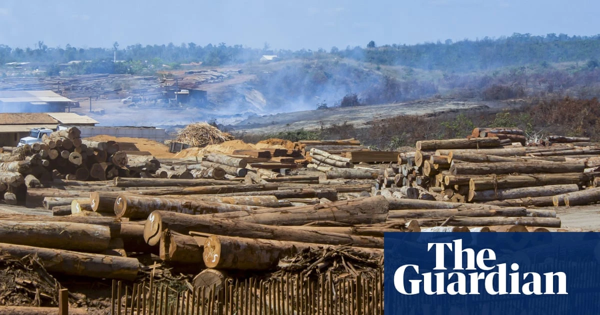 Brazil activists decry green rollbacks as senate passes ‘devastation bill’