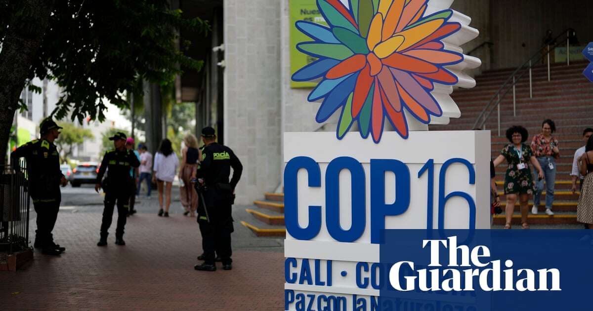 Cop16: Colombia prepares to host ‘decisive’ summit on biodiversity