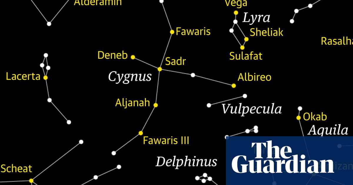 Starwatch: Cygnus the swan will shine even in suburban areas