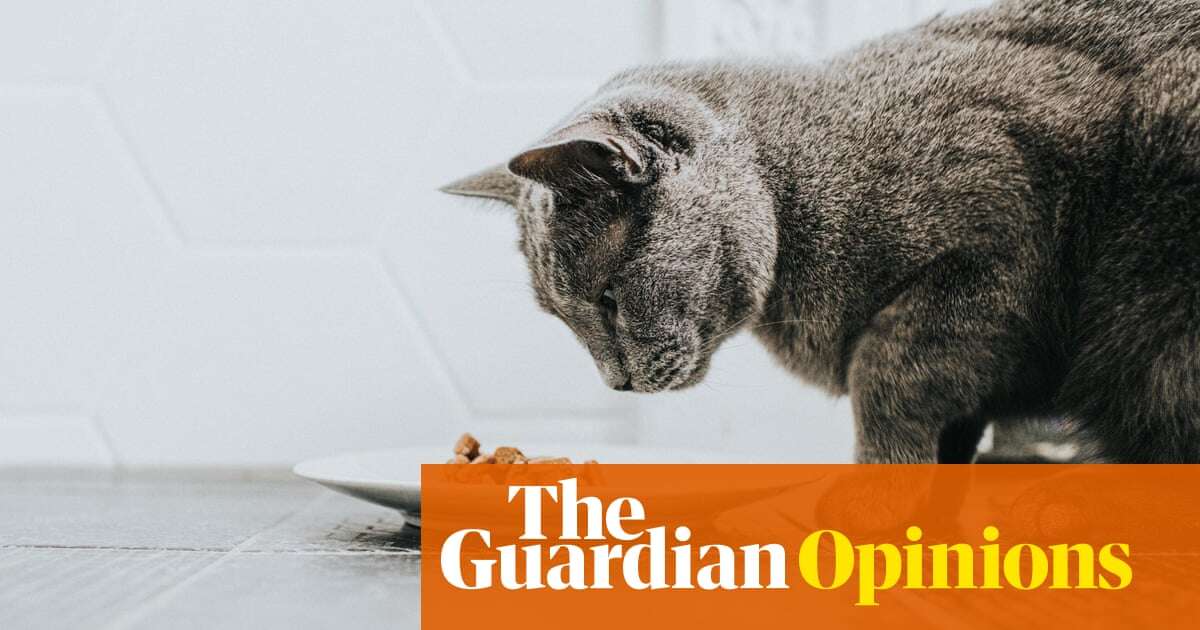 Lab-grown meat is the future for pet food – and that’s a huge opportunity for Britain | Lucy McCormick