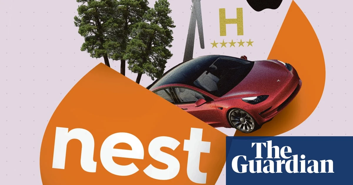 From Tesla to forests: what Nest does with 13m UK savers’ pension cash