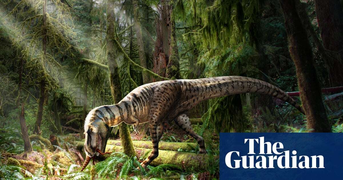 Prehistoric fast food: fossil reveals final meal of young tyrannosaur