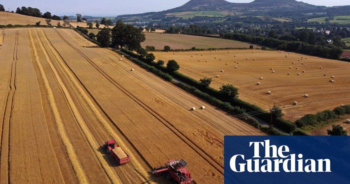 Urgent action needed to ensure UK food security, report warns