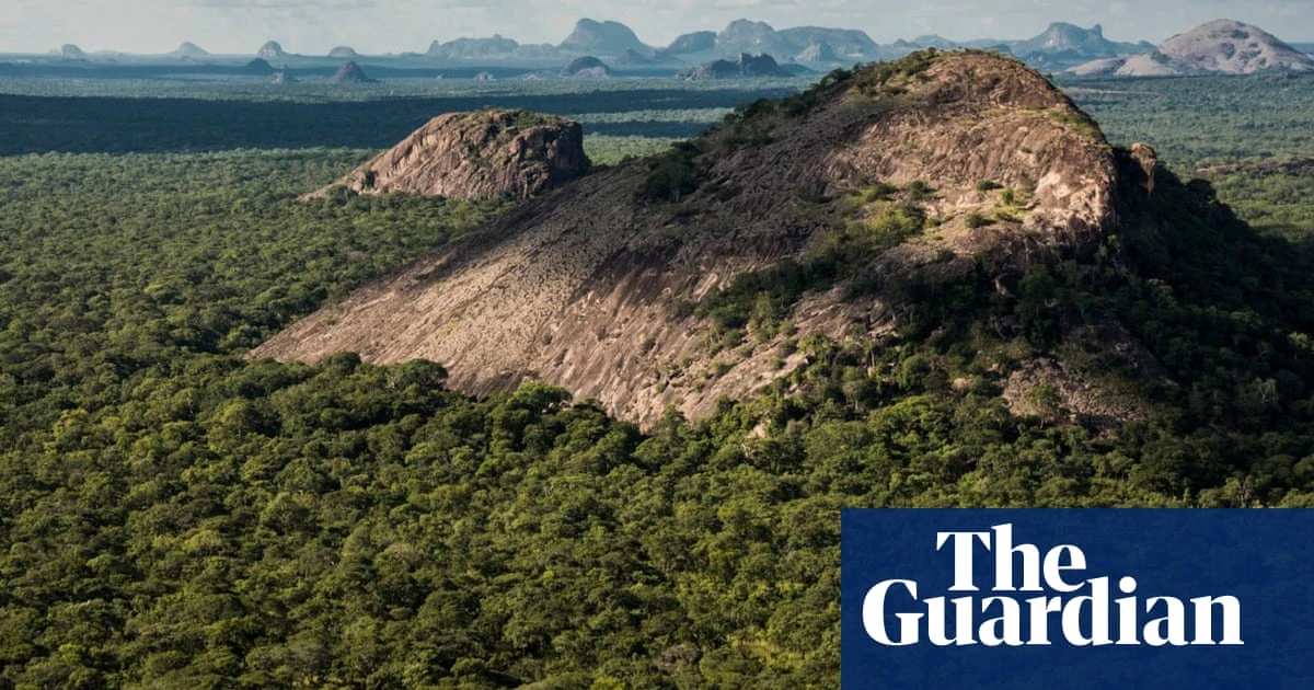 Ten dead in ‘brutal’ attacks by Isis-linked militants on Mozambique wildlife reserve