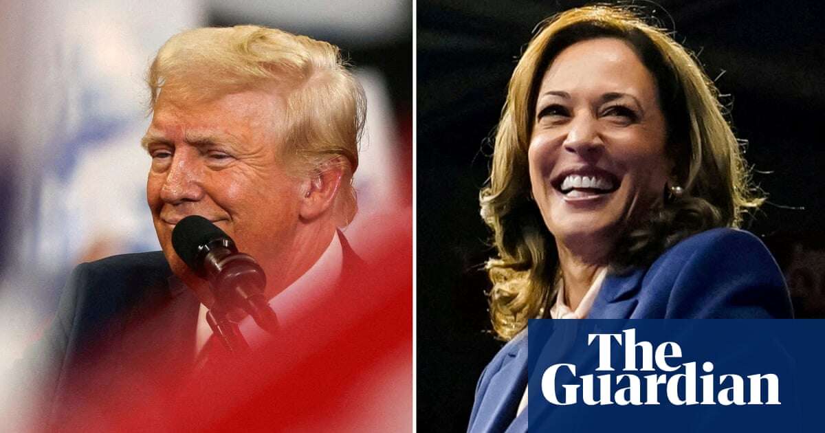 2024 US presidential polls: Harris taps into near-record levels of enthusiasm