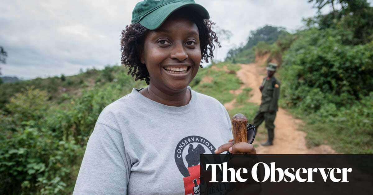 Biology Champion of the gorillas: the vet fighting to save Uganda’s great apes