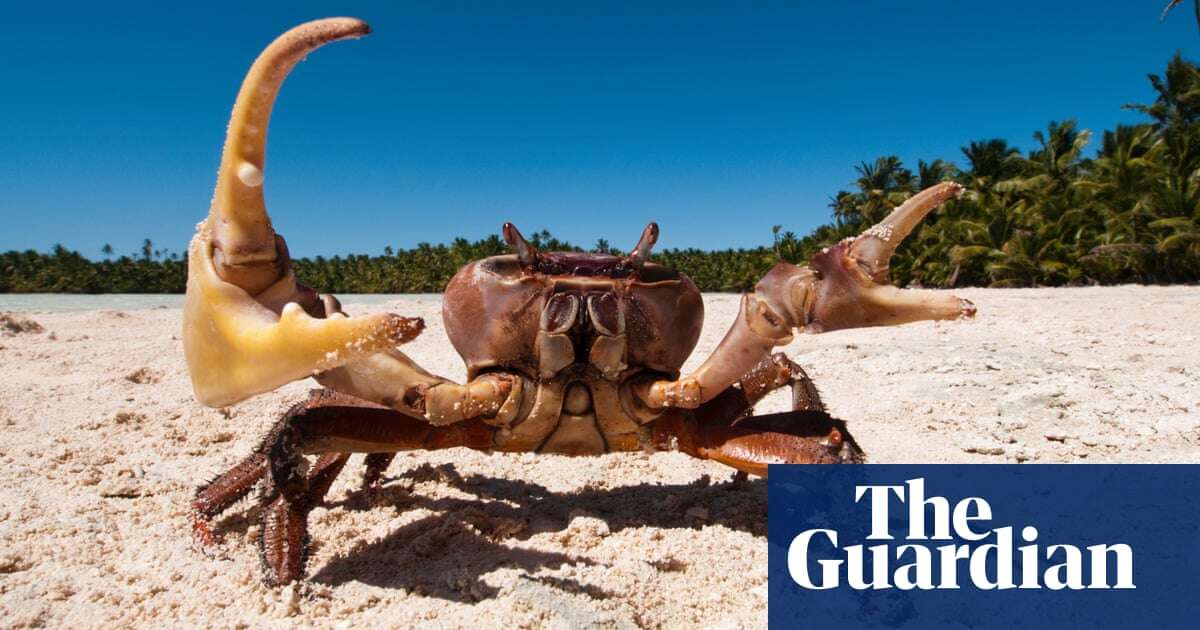 And now for the pinchline: competition crowns world’s funniest crab joke