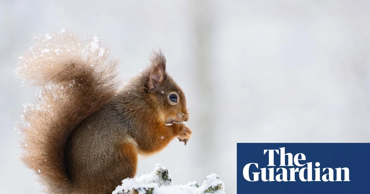 UK falling behind EU on environmental rules amid post-Brexit rollback