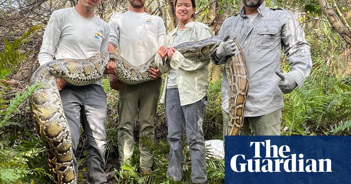 Florida sheds 20 tons of invasive pythons in effort to curb its population