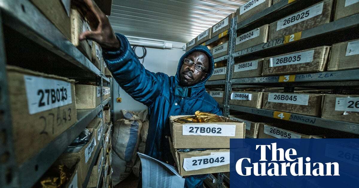 ‘Not just a museum’: Kenya’s seed bank offers unexpected lifeline for farmers