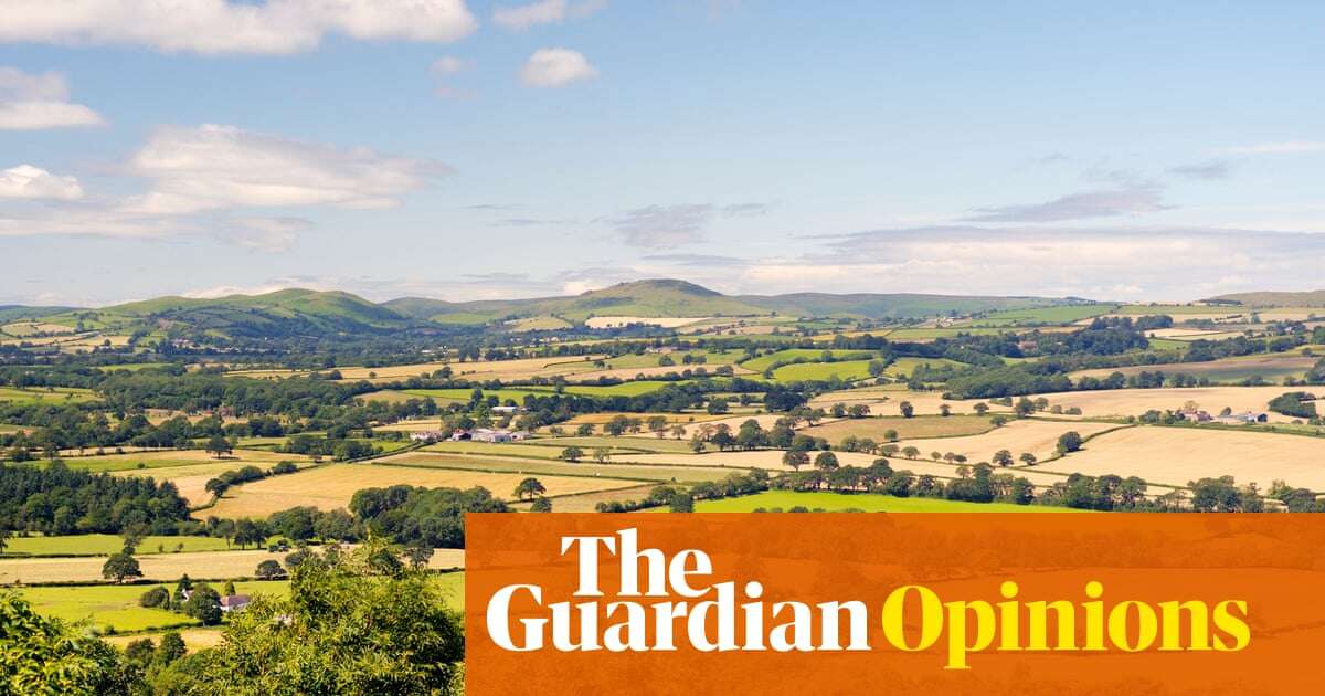 That new land use policy that the Tories call ‘national suicide’? It’s urgent, essential – and their idea | Henry Dimbleby