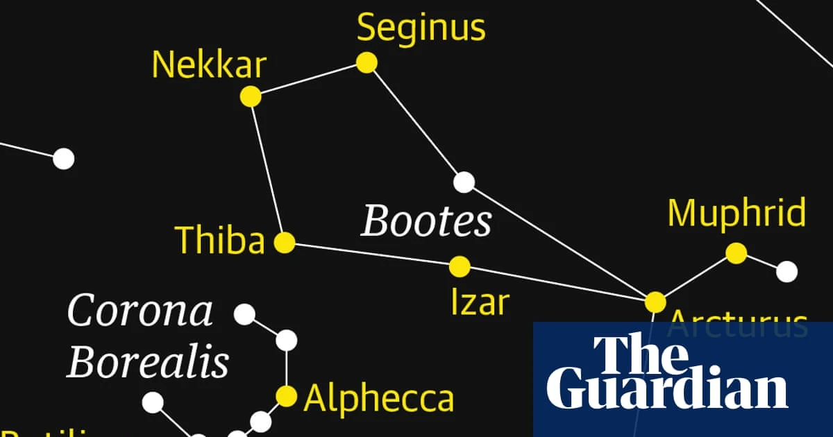 Boötes the herdsman rises to prominence in the northern sky